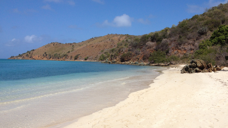 Prickly Pear Island